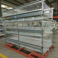 Quality Anti Rust HDG H Type Layer Broiler Chicken Cage 16-20 Broilers/Cage for sale