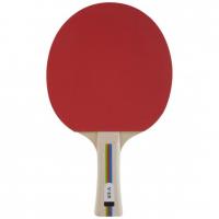 China Hobby Table Tennis Bat Simple Pimple In Rubber For Player Improving Game factory