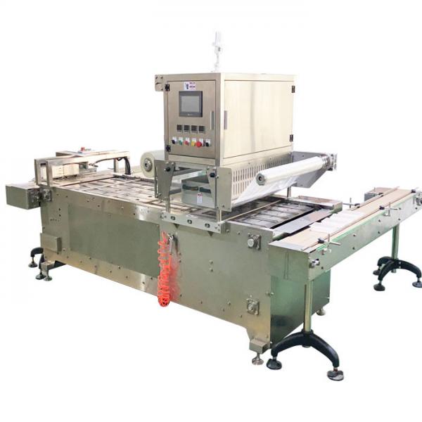 Quality Automatic Tray Sealing Machine For PP/PE/PVC/PET Packaging Material for sale