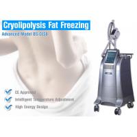 China Cellulite Reduction Cryolipolysis Body Slimming Machine With High Pressure Vacuum Suction factory