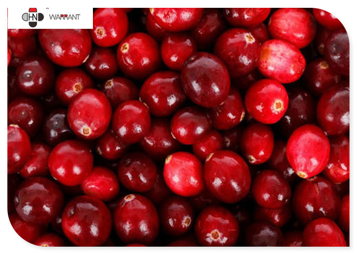 China 80 Mesh 25% Proanthocyanidins Organic Cranberry Powder factory