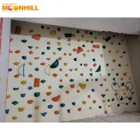 Quality Amusement Rock Wall Climbing Training Indoor Customized Color For Children for sale