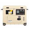 China Portable Electric Start Diesel Power Generator Force Air Cooled OEM factory
