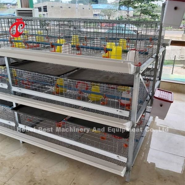 Quality A Or H Type Broiler Chicken Cage 96 Matured Broilers Capacity Emily for sale