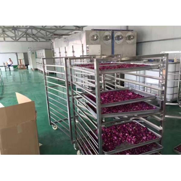 Quality Circulation Vacuum Tray Dryer  For Pharma , 24-216 Trays Flower Drying Machine for sale