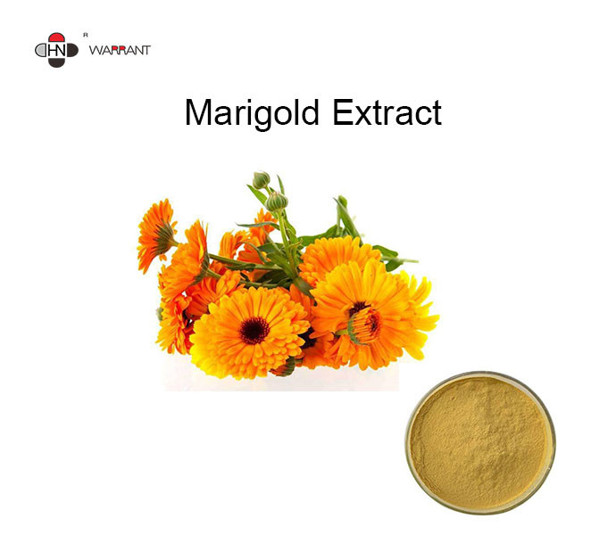 Buy cheap Zeaxanthin 5% Lutein 5% Marigold Extract Powder from wholesalers