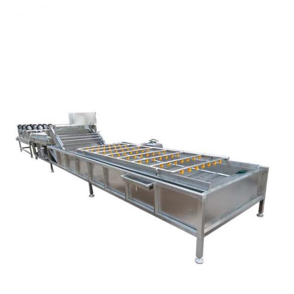 Quality Industrial Fruit Vegetable Processing Machine Automatic 400KG  300-1000kg/h for sale