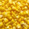 China FDA Certified IQF Frozen Vegetables/ Frozen Whole Kernel Sweet Corn For Supermarkets factory