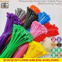 Quality Plastic Cable Ties for sale