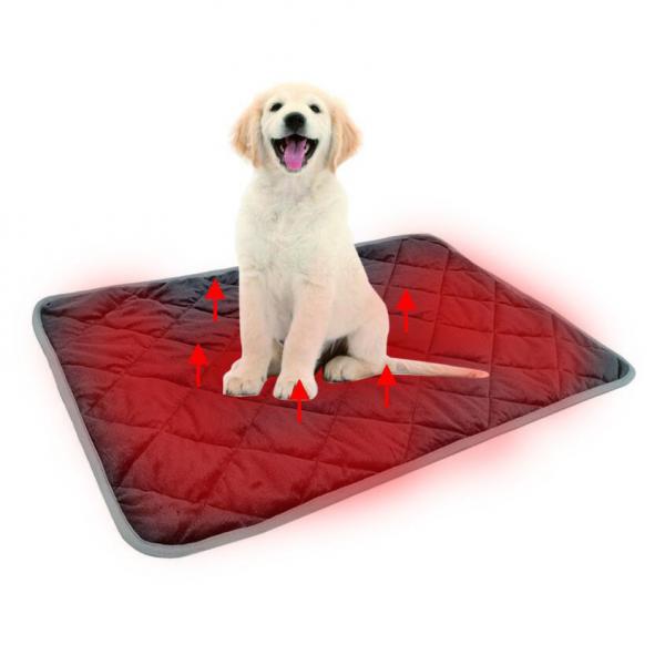 Quality Pet Electric Heated Pad Graphene Film Material 45degree 3level Temperature for sale