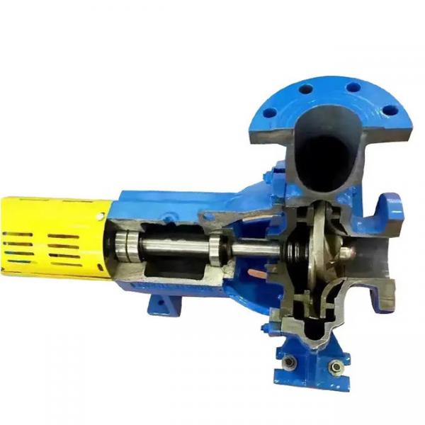 Quality 750r/min 990r/min Open Impeller Water Pump Larger Capacity Paper Pulp Pumps for sale