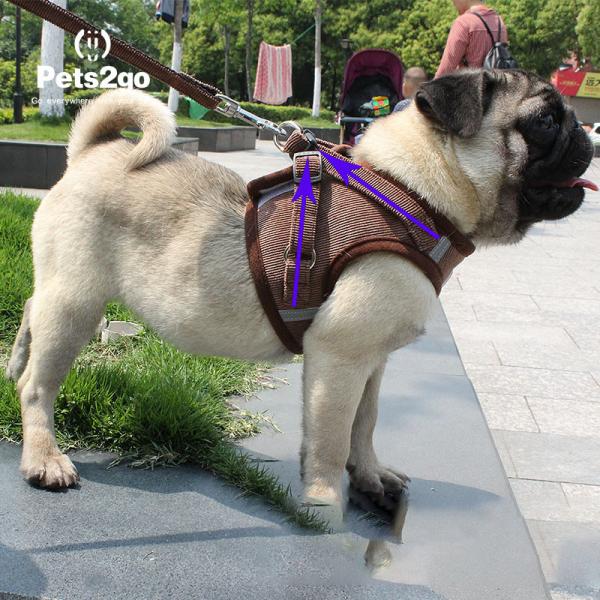 Quality Trendy Dog Harness Dog Climbing Harness Designer Dog Harness And Leash S For for sale