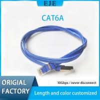 Quality Cat6A Ethernet Patch Cable for sale