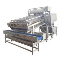 China Automatic Grade Automatic Stainless Steel Shrimp Peeling Machine for Peel Shrimp factory
