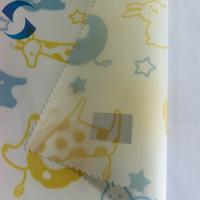 China Digital Polyester Cartoon Printing Taffeta Fabric Raincoat Waterproof For Kids factory