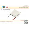 China TEC1-031 Series (40x40mm) Peltier Chip/Peltier Module/Thermoelectric Chip/TEC/Cooler factory