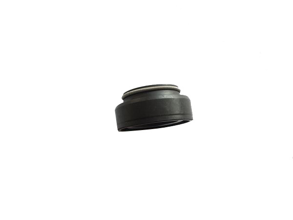 Quality ROHS NBR Shock Absorber Parts Mechanical Oil Seal for sale