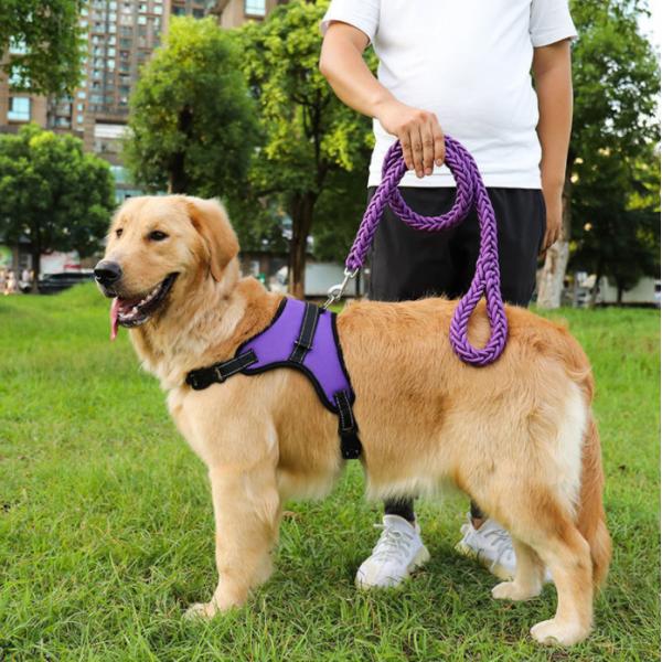 Quality Waterproof Heavy Duty Retractable Dog Lead For Big Dogs Nylon for sale