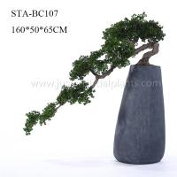 China Home Office Decoration Artificial Pine Bonsai Without Pot , Curving Stem factory