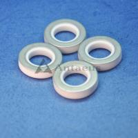 China Alumina Ceramic Gasket Mechanical Strength Alumina Ceramic O Ring for BYD factory