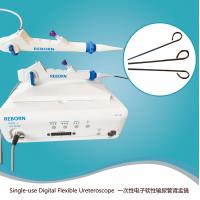 China Type II Disposable 8.5Fr Pebax Digital Flexible Ureteroscope factory