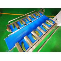Quality Cucumber PLC 12 Belt Fruit Multihead Weigher for sale