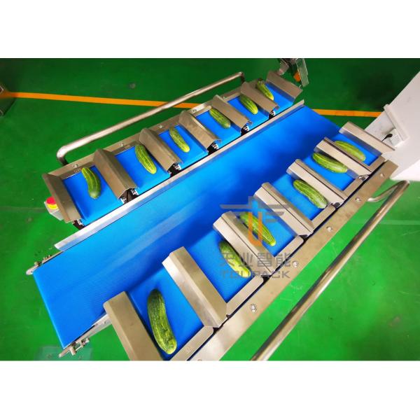 Quality Cucumber PLC 12 Belt Fruit Multihead Weigher for sale