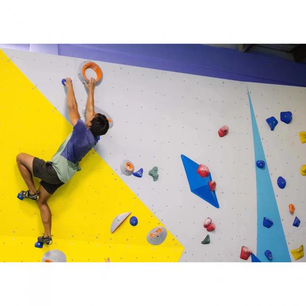 Quality Kids Training Climbing Wall Board Customized Size Diy Rock Climbing Wall for sale