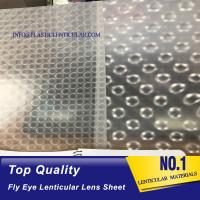 China PLASTIC LENTICULAR Super transparent fly eye lenticular lens sheet 360 3d microlens film arrays for sale