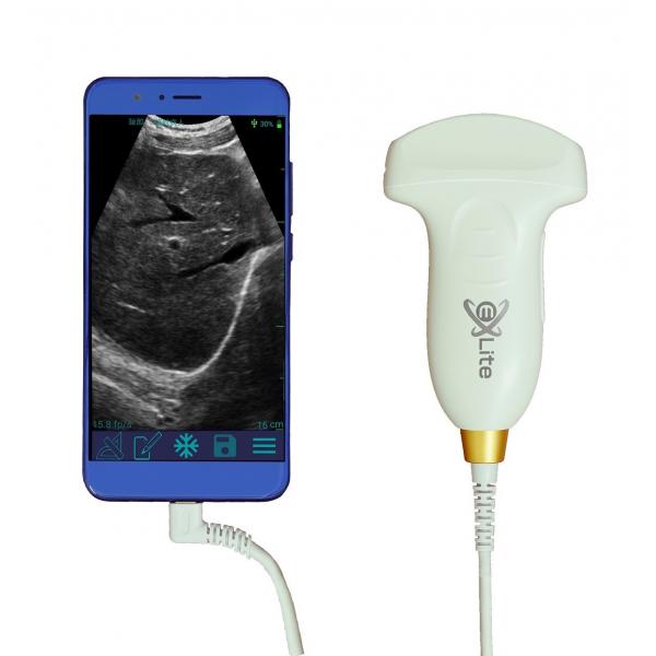 Quality Convex Probe Handheld Veterinary Ultrasound Machine B/PWD for sale