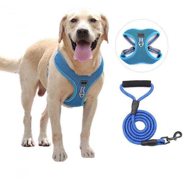 Quality Polyester Collar Lead Harness Set for sale