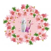 China Free Sample Scented Natural Original Lily Perfume Fragrances For Women Perfume factory