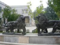 China Marble stone sculpture walking lions sculpture,outdoor stone sculpture supplier factory