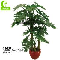 China Artificial Plants Wholesale for sale