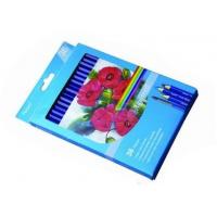 China Professional Drawing Pencil Set Colouring Pencils For Adults 36 Colours for sale