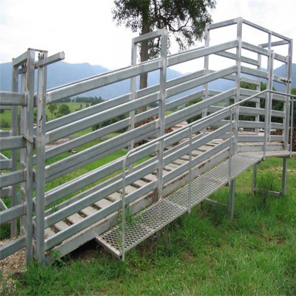 Quality Hot Dipped Galvanized Sheep Loading Ramp Plans Livestock Handling Equipment for sale