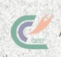 China CNT International Trade Co.,Ltd logo