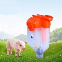 China Livestock Feeding Equipment Pig farm Feed Dispenser factory