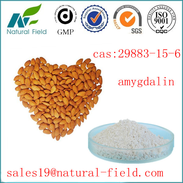 China top quality of almond extract amygdalin at less price factory