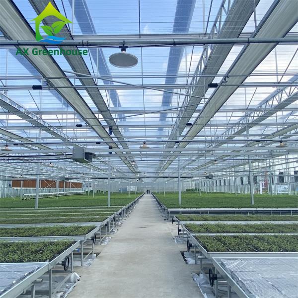 Quality Venlo Winter Glass Tomato Greenhouse for sale