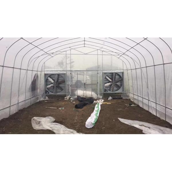 Quality Vegetables Plant Polyethylene Film Greenhouse With Cooling System Easy Install for sale