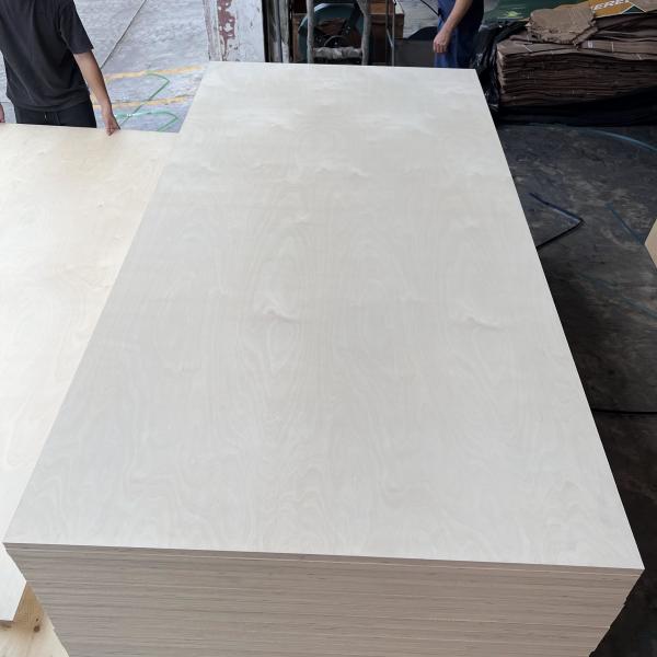 Quality Mildewproof Hardwood Faced Plywood For Furniture UV Resistant for sale