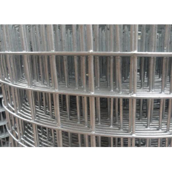 Quality Non Rusting Welded Steel Wire Mesh Zoo Animal Enclosure Wire Mesh 10m-30m for sale