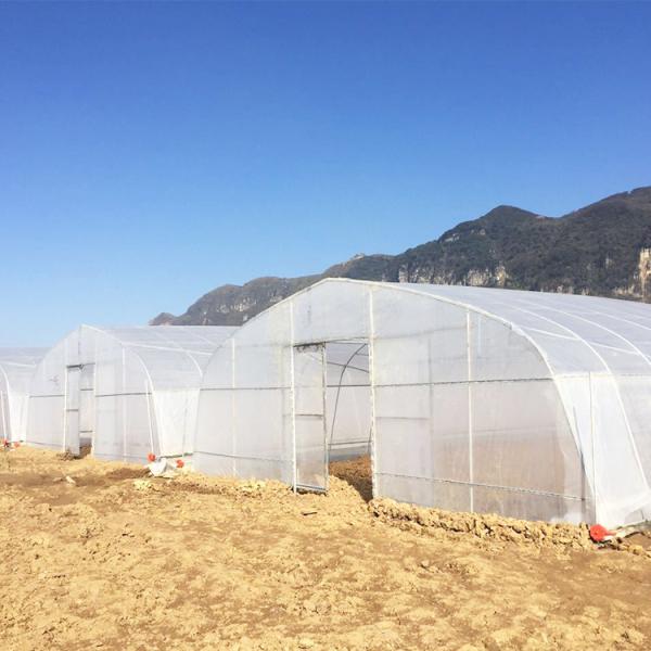 Quality Strong Tunnel Plastic Film Greenhouse Polyethylene Covering With Irrigation for sale