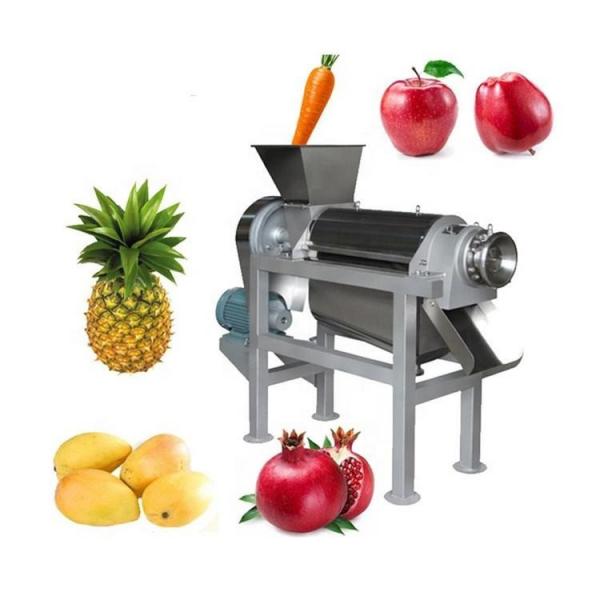 Quality Spiral Fruit Vegetable Processing Machine 410rpm Fruit Juice Squeezing Machine for sale