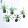 China Customized Artificial Fern Plants , 8cm Hanging Ball Type Fake Staghorn Fern factory