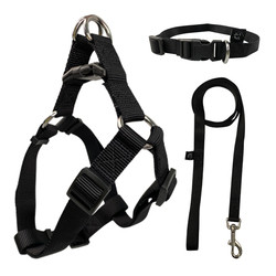 Quality Padded Dog Harness Set Soft Durable No Pull Dog Harness Easy To Clean for sale