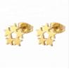 China Customized Earring Surgical Stainless Steel Titanium Silver Gold Black Plated Star Stud Earrings factory