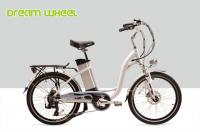 China 250W 24&quot; Ladies Electric Urban Bike With Shimano Derailleur factory