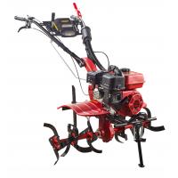 China Farming Agricultural Multi Functional Power Tiller 5.5HP with Tilling Depth ≥100mm factory
